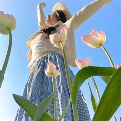 大炮破坏者