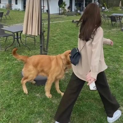 曾经的老伴